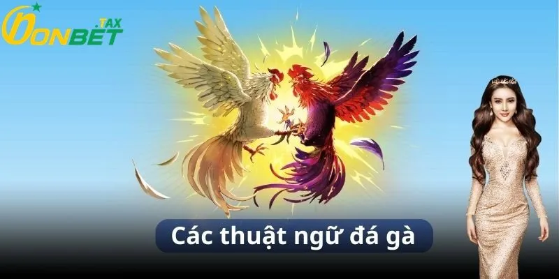 THUẬT NGỮ ĐÁ GÀ TẠI ONBET – BÍ KÍP CHINH PHỤC CÁ CƯỢC ĐÁ GÀ TRỰC TUYẾN 2 Các thuật ngữ trong đá gà tại ONBET