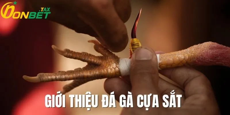 ĐÁ GÀ CỰA SẮT TẠI ONBET – THẾ GIỚI ĐỈNH CAO CỦA ĐAM MÊ VÀ LỢI NHUẬN 1 Giới thiệu chung về đá gà cựa sắt