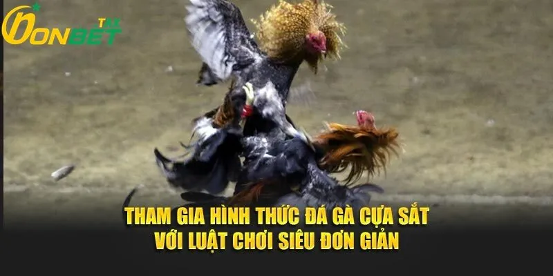 ĐÁ GÀ CỰA SẮT TẠI ONBET – THẾ GIỚI ĐỈNH CAO CỦA ĐAM MÊ VÀ LỢI NHUẬN 2 Hướng dẫn tham gia đá gà cựa sắt tại onbet