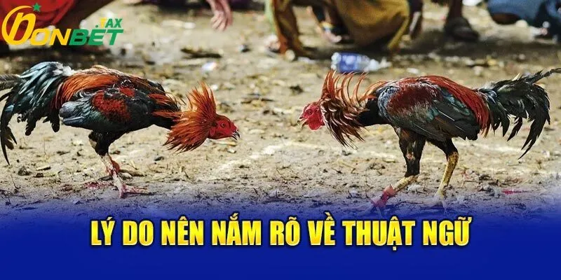 THUẬT NGỮ ĐÁ GÀ TẠI ONBET – BÍ KÍP CHINH PHỤC CÁ CƯỢC ĐÁ GÀ TRỰC TUYẾN 3 Lý do nên nắm rõ về thuật ngữ đá gà